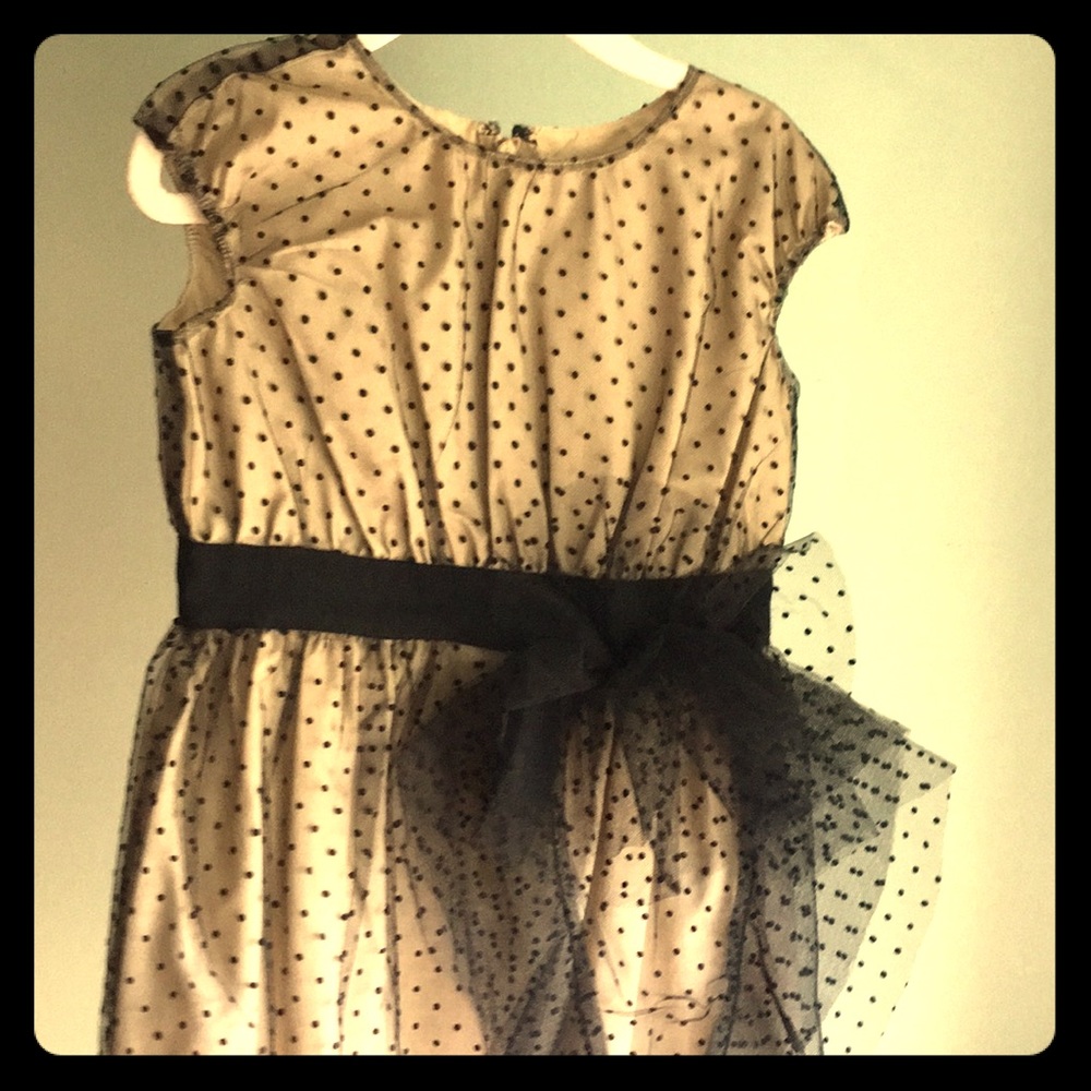 J Crew/Crewcuts tulle dress 3T black/tan